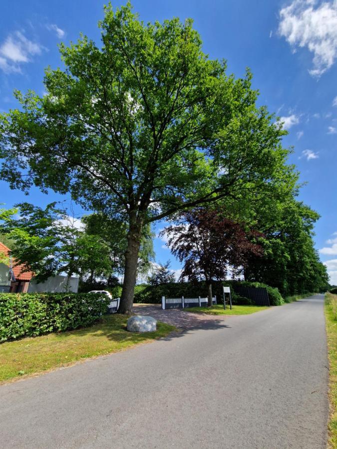 Friesenparadies Fri-Suedliches Friesland 博克霍恩 外观 照片